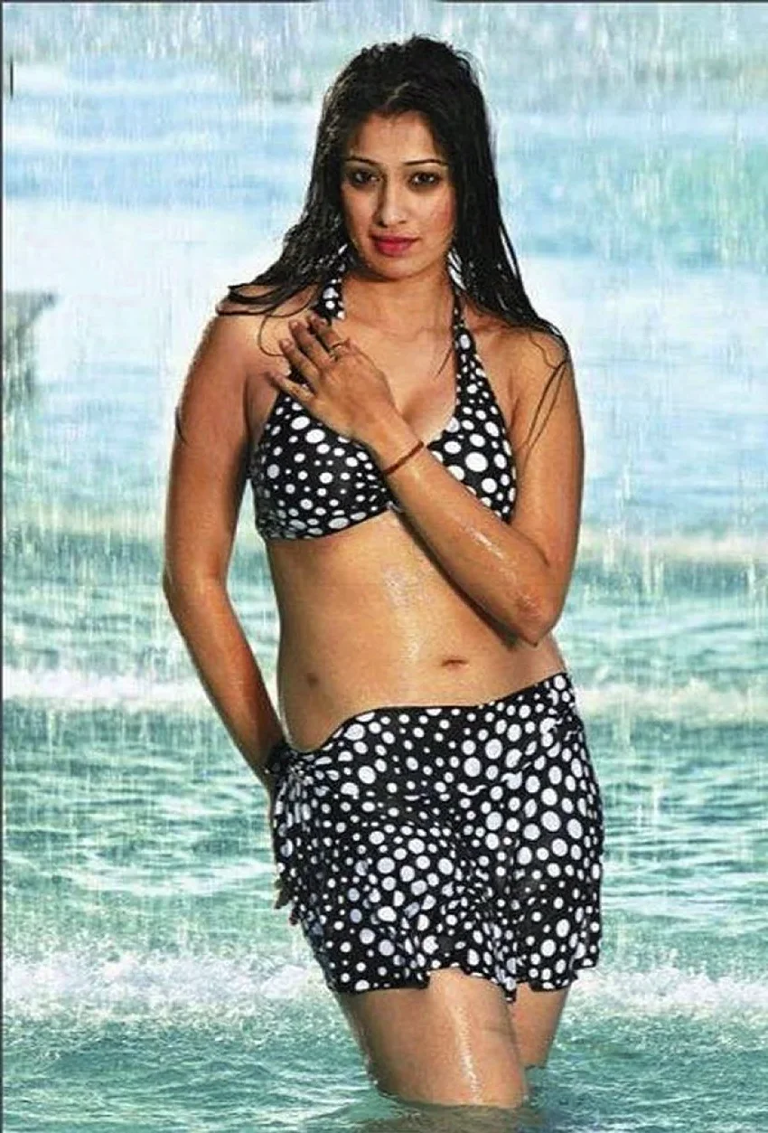 Lakshmi Rai Hot Wallpaper