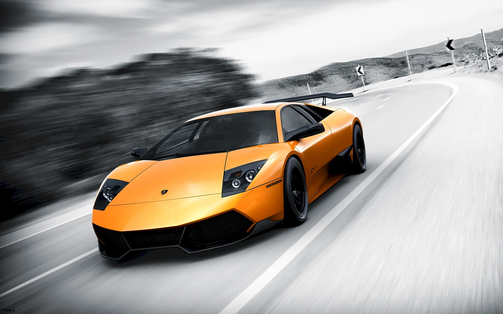 Lamborghini Murcielago Wallpaper