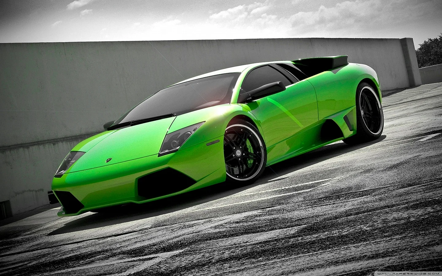 Lamborghini Murcielago Wallpaper