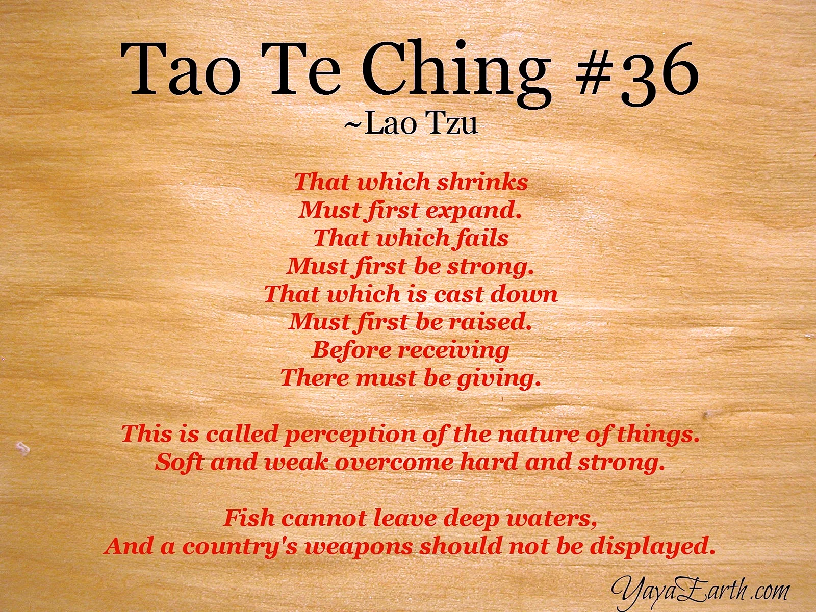 Lao Tzu Tao Wallpaper