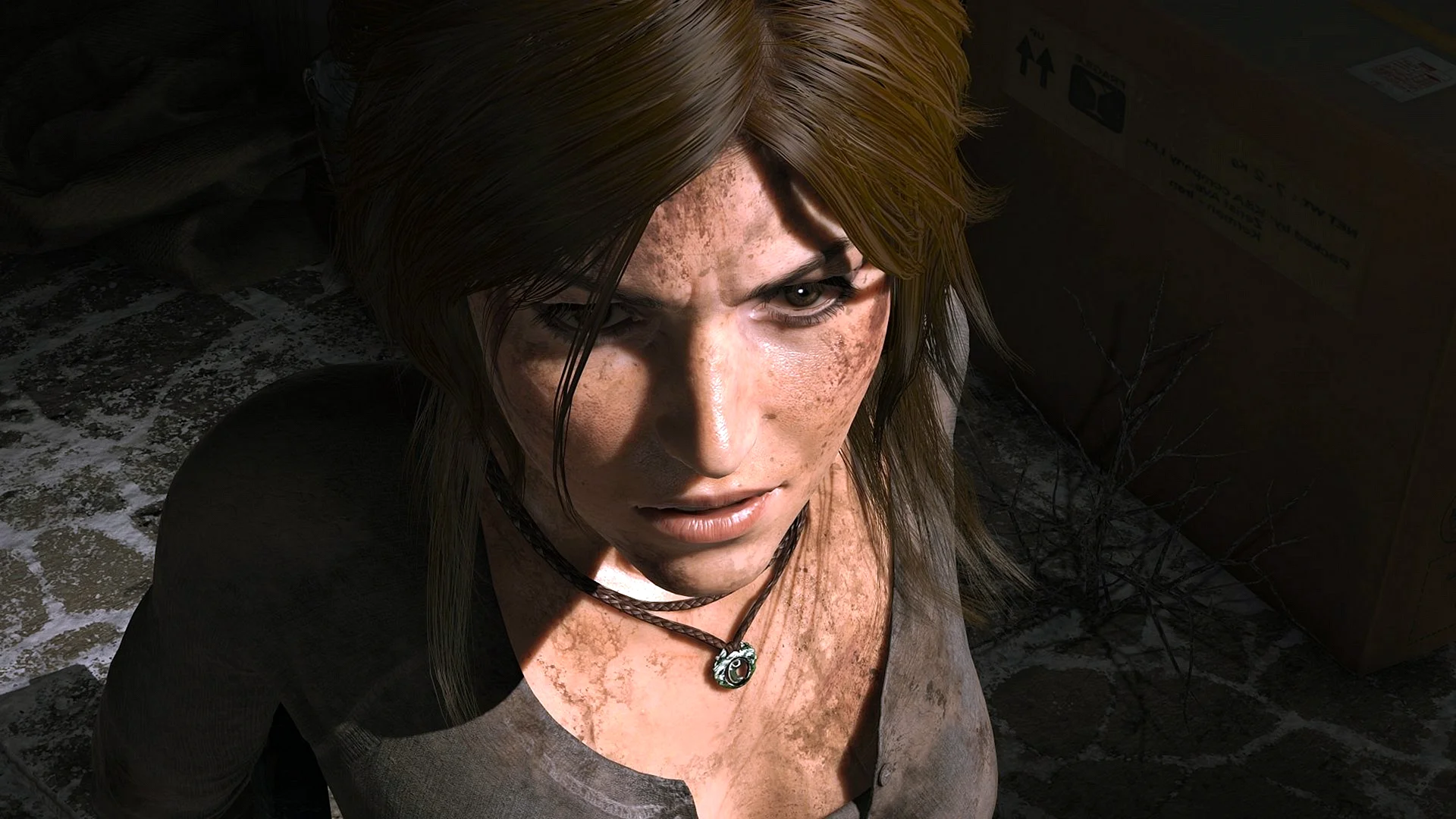 Lara Croft Rise Wallpaper