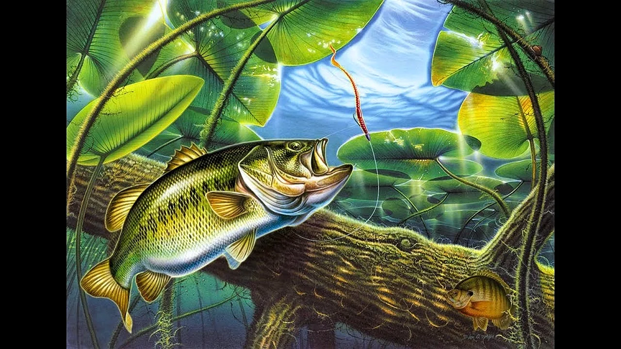 Largemouth Bass Fishing Wallpaper