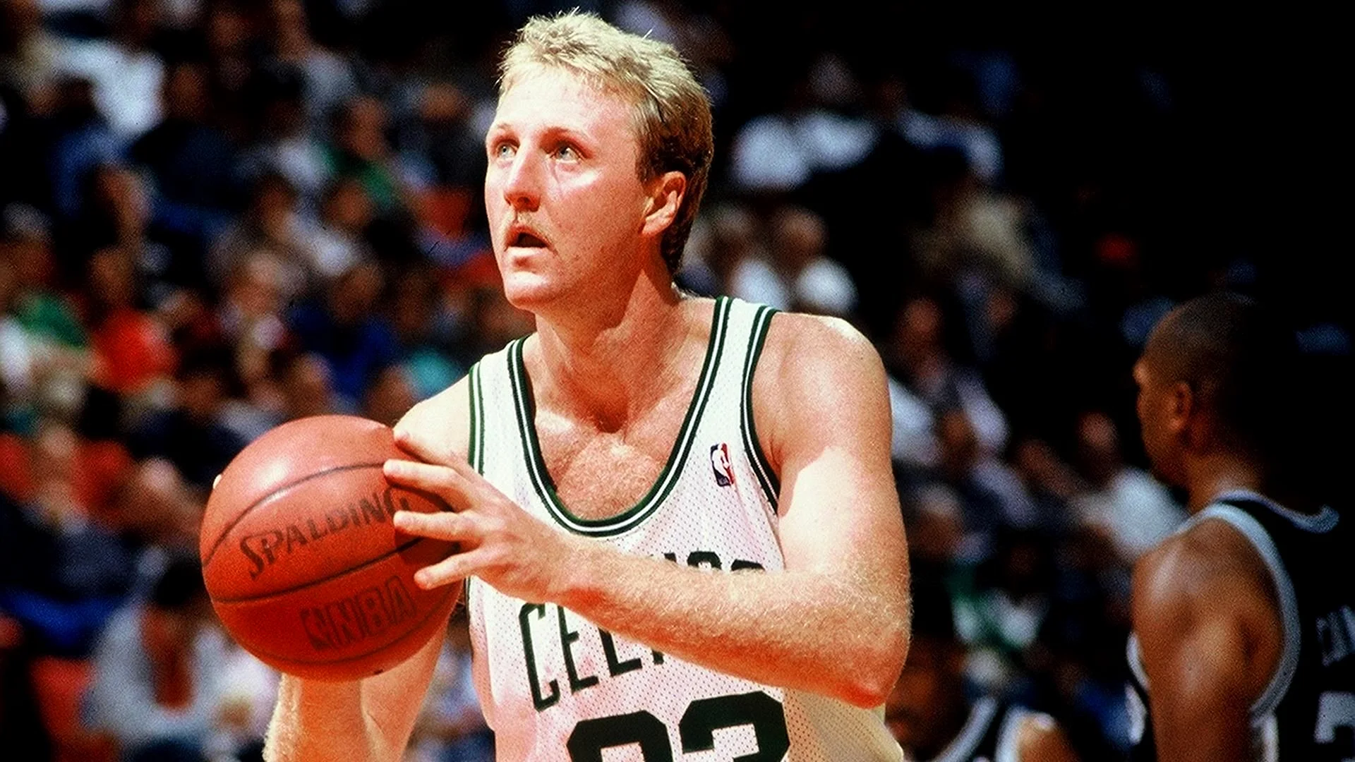 Larry Bird Wallpaper