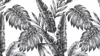 Leaf Tropical Black and White patterns Wallpaper