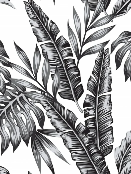 Leaf Tropical Black and White patterns Wallpaper