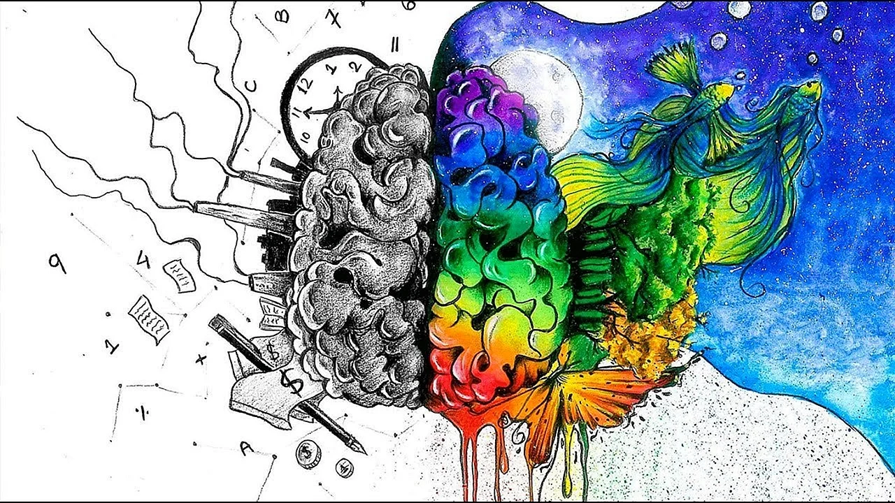 Left And Right Brain Wallpaper