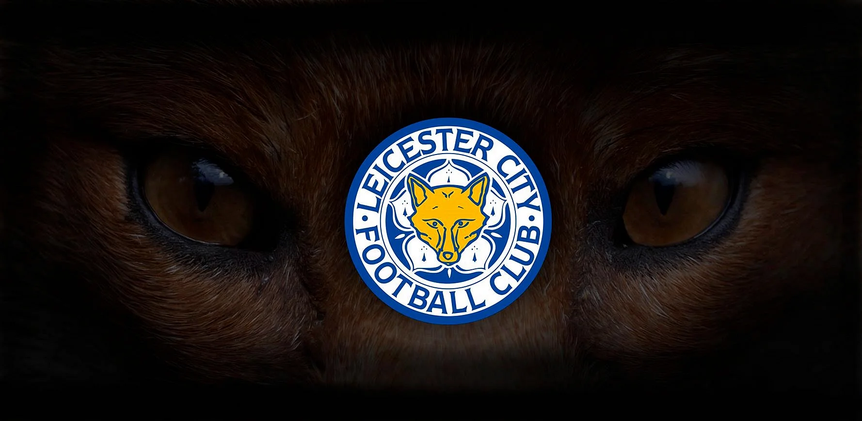 Leicester City Fox Head Wallpaper