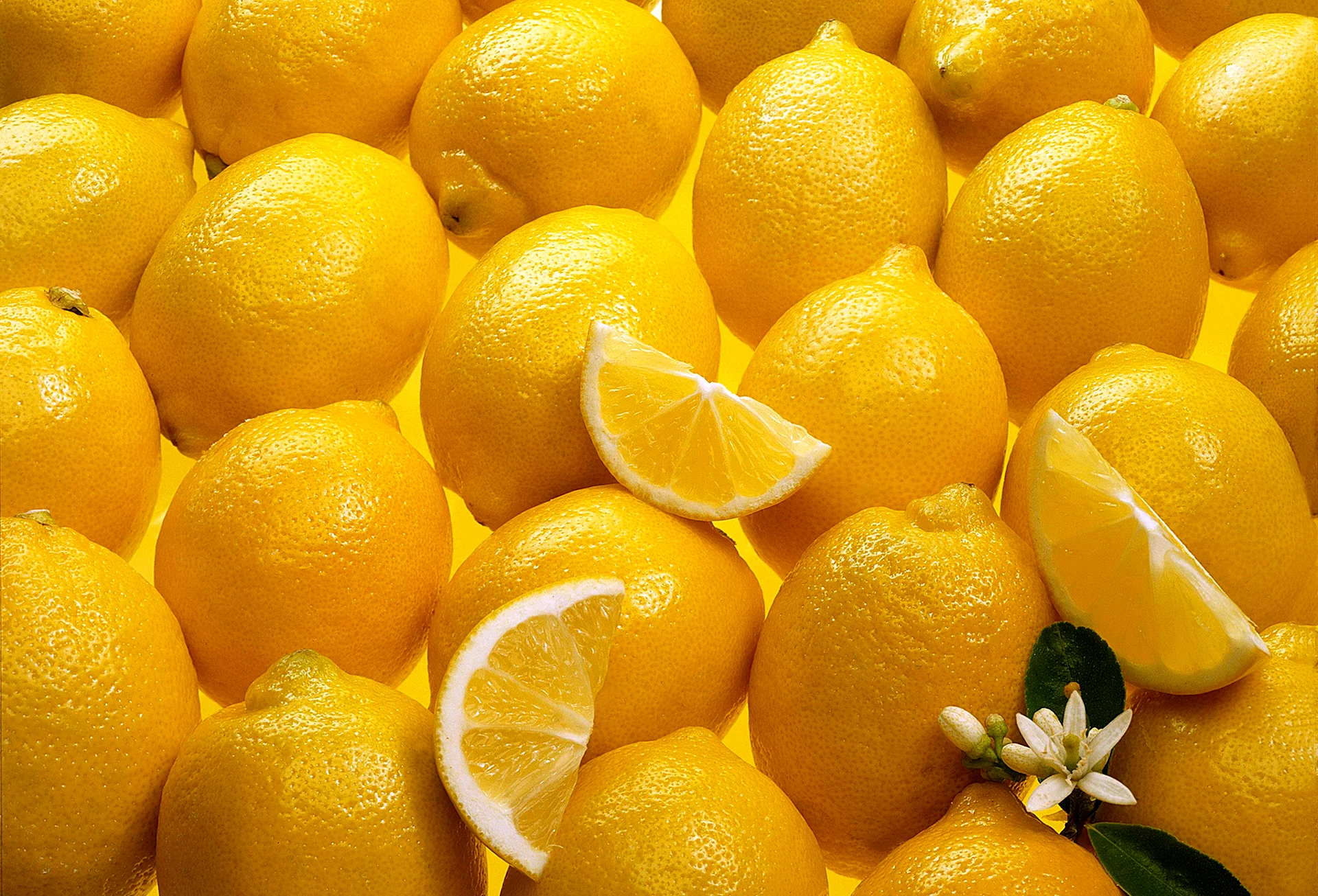 Lemon Wallpaper