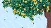 Lemon Tree Cartoon Wallpaper