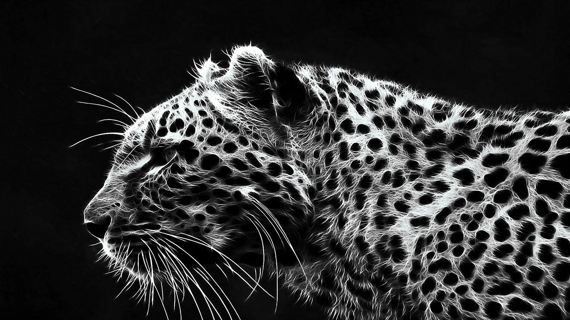 Leopard Black and White Wallpaper