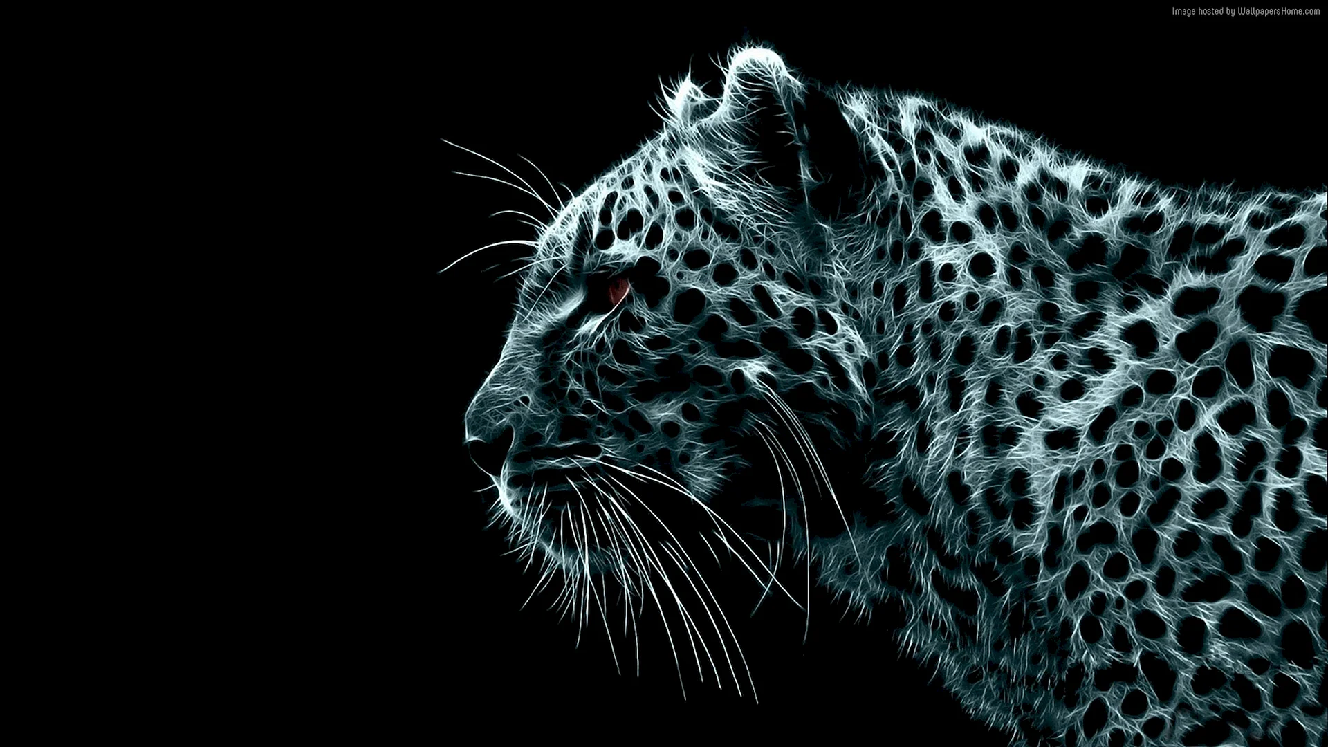 Leopard Fon Wallpaper
