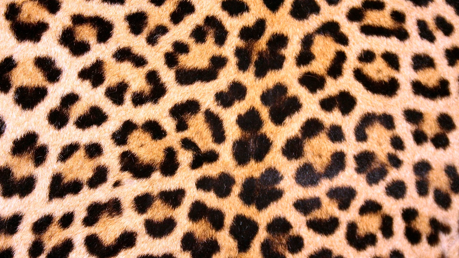 Leopard Leather Wallpaper