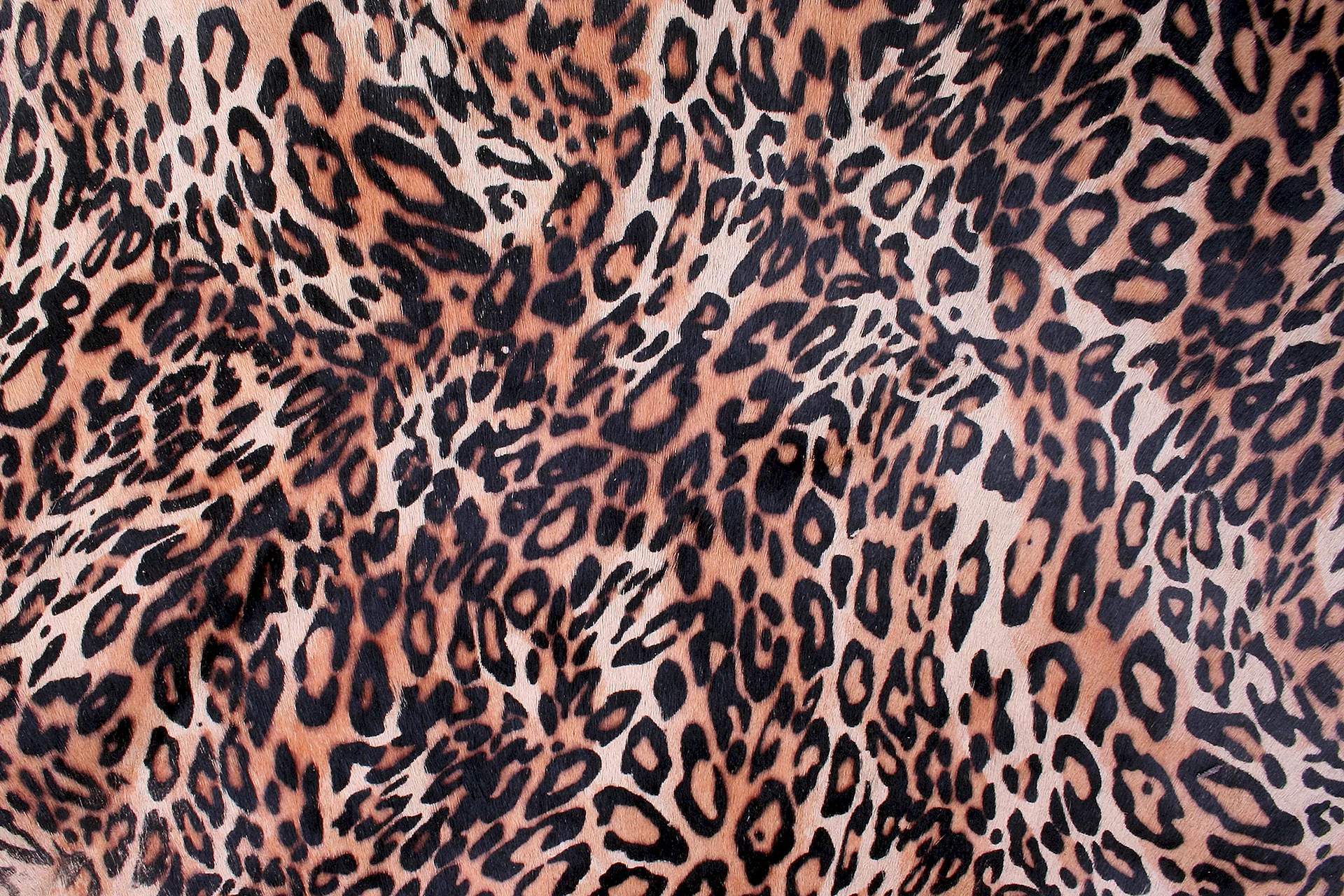 Leopard Pattern Wallpaper