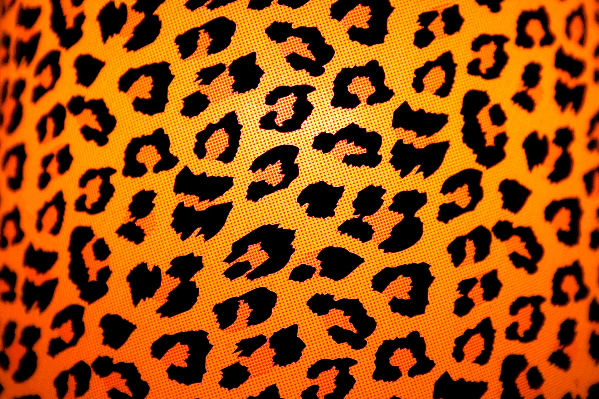 Leopard Pattern Wallpaper
