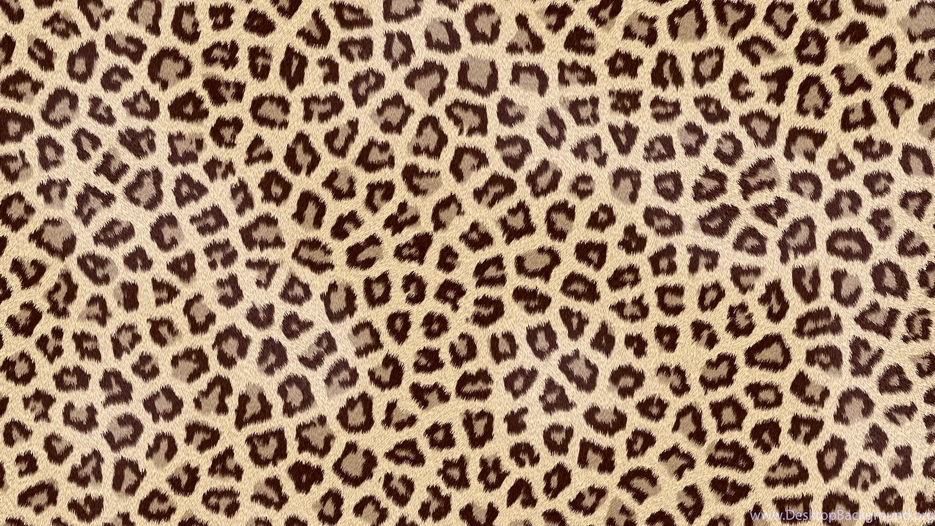 Leopard Print Wallpaper