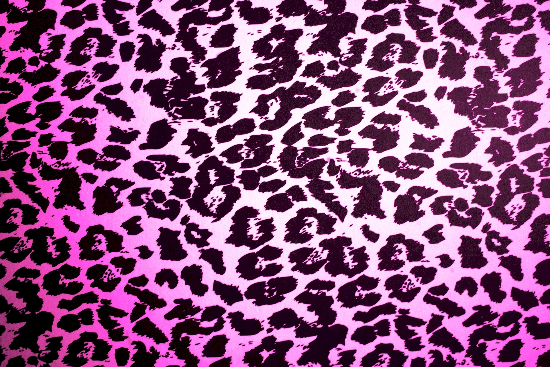 Leopard Print Wallpaper