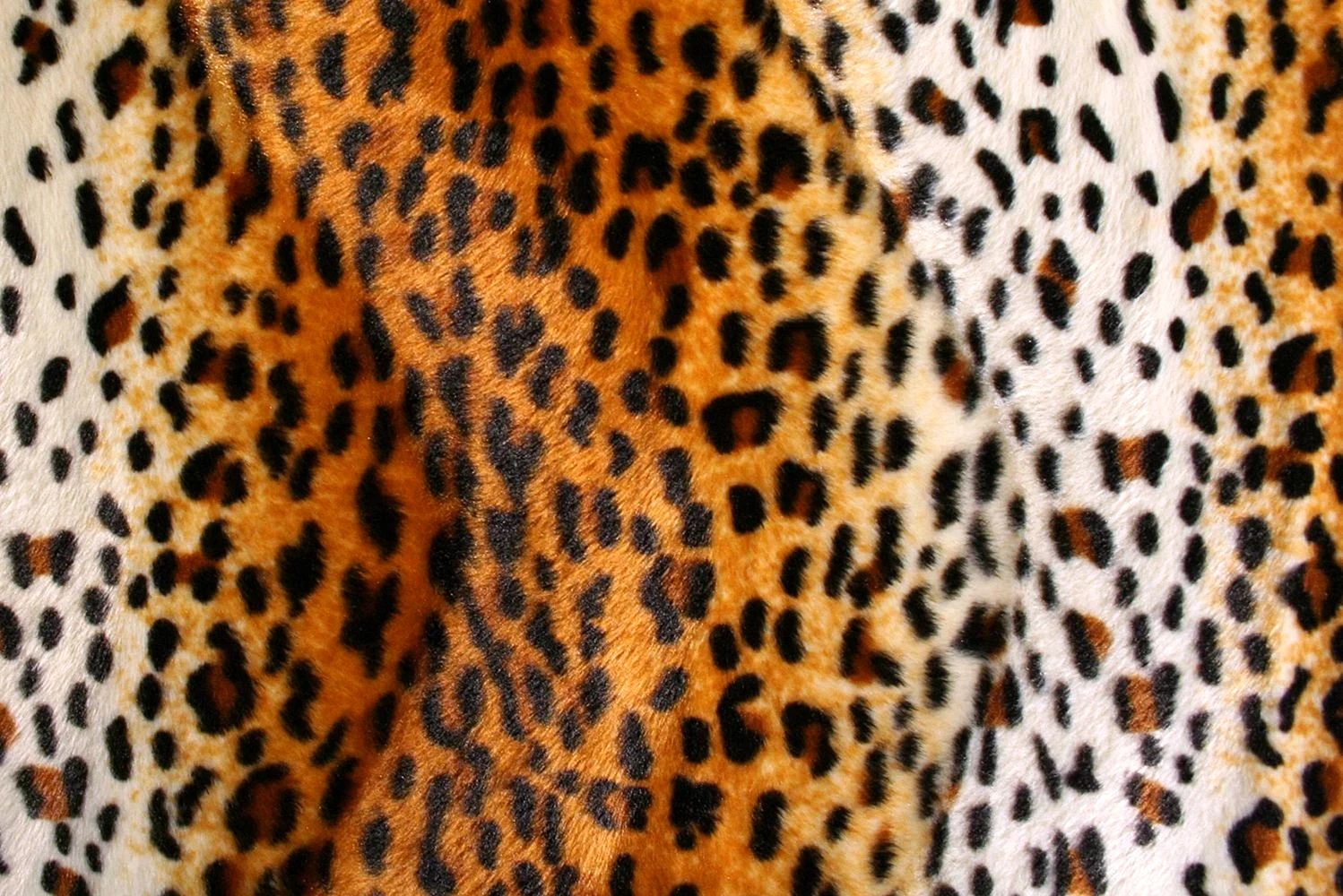 Leopard Print Wallpaper