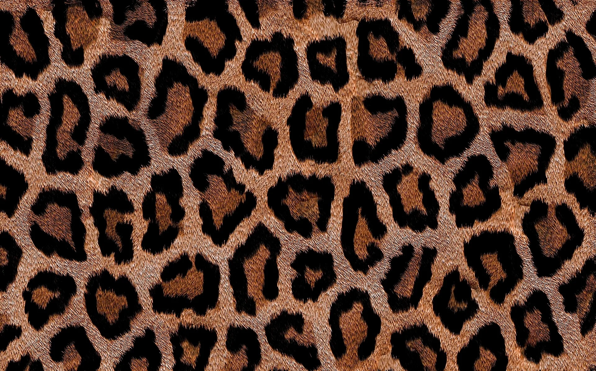 Leopard Print Wallpaper