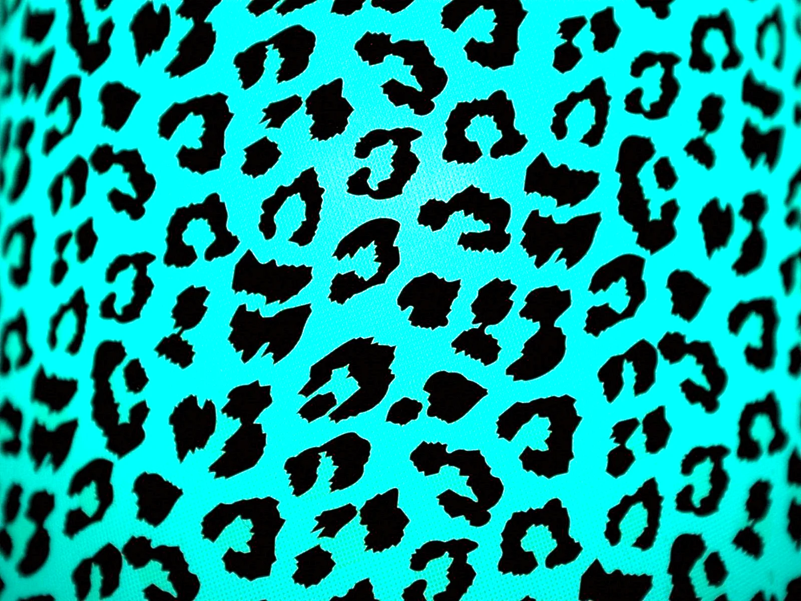 Leopard Print Wallpaper