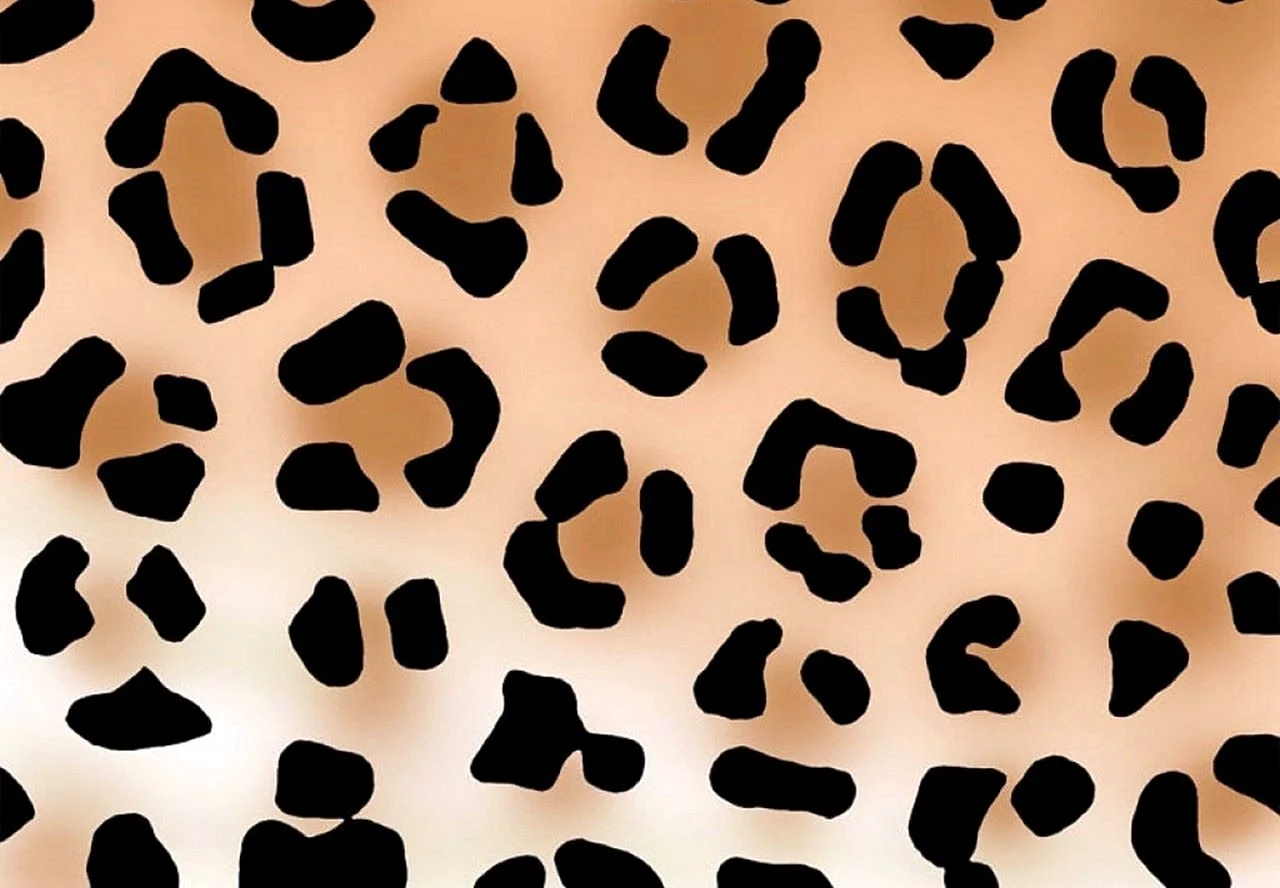 Leopard Print Screensaver Wallpapers Wallpapershigh 5733