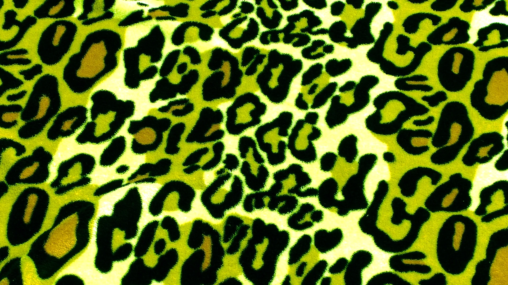 Leopard Print Wallpaper