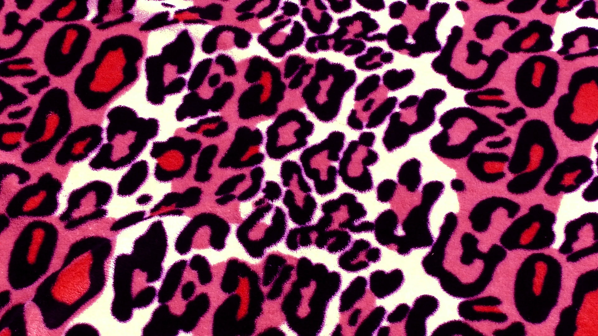 Leopard Print Wallpaper