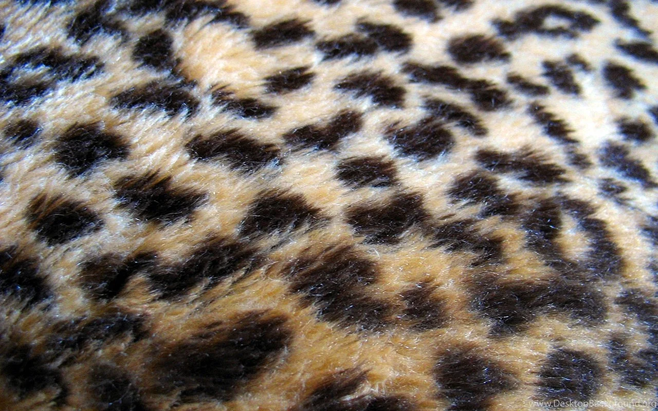Leopard Print Fur Wallpaper