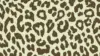 Leopard Seamless Pattern Wallpaper