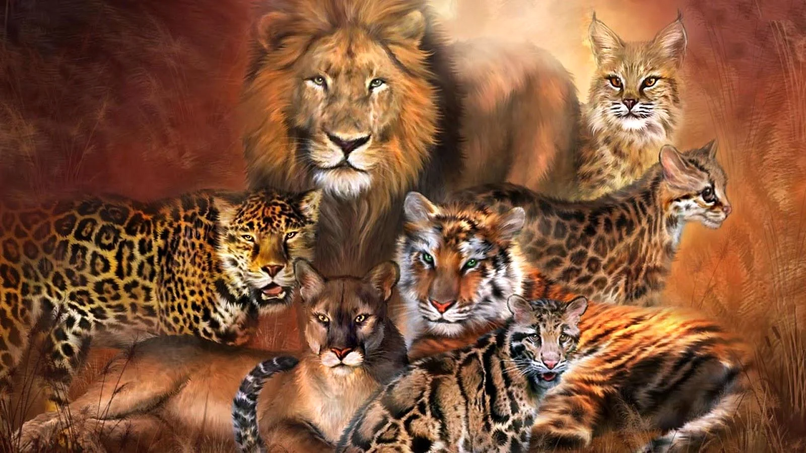 Leopard Tiger Wallpaper