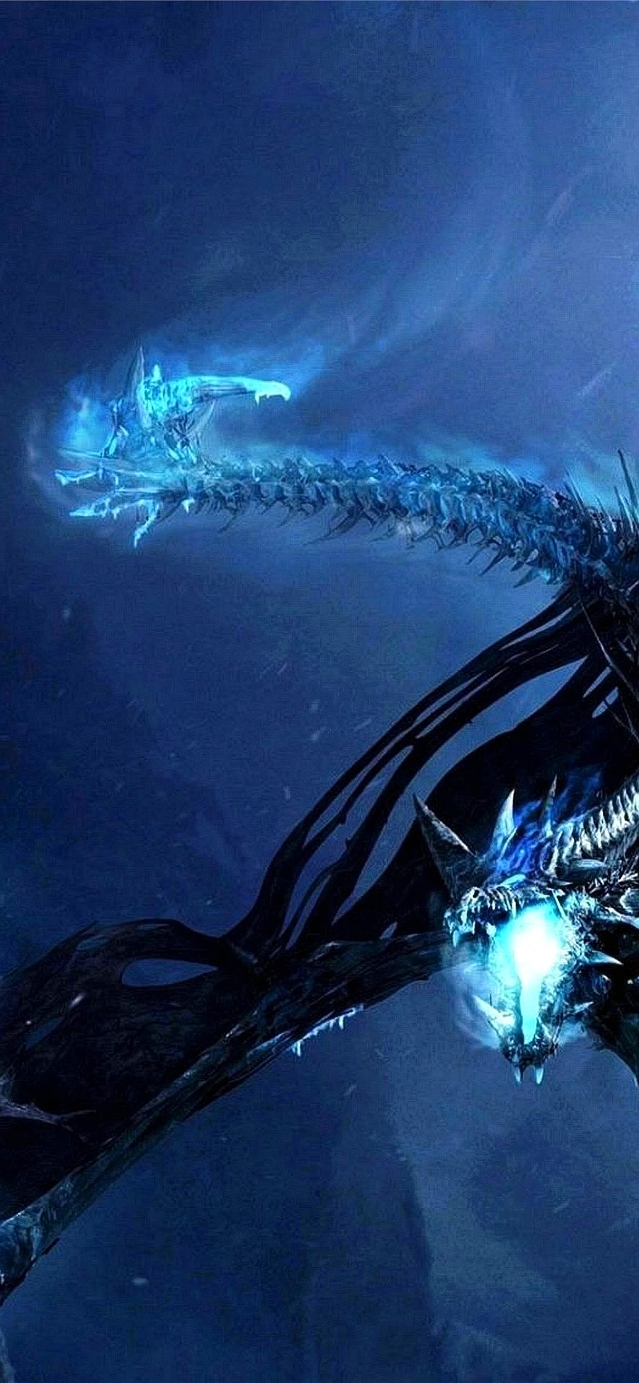 Lich King Dragon Wallpaper for iPhone 14 Plus