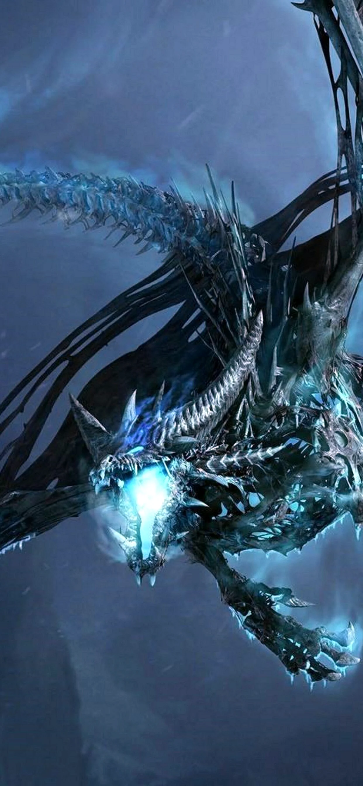 Lich King Dragon Wallpaper for iPhone 11 Pro Max