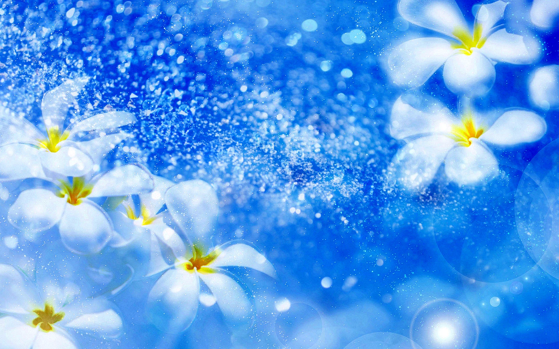 Light Blue Floral Background Wallpaper