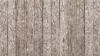 Light Wood Planks Wallpaper