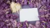 Lilac Frame Wallpaper