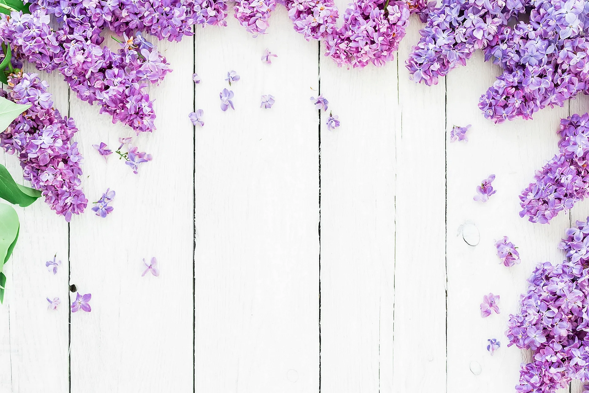 Lilac Pattern Wallpaper