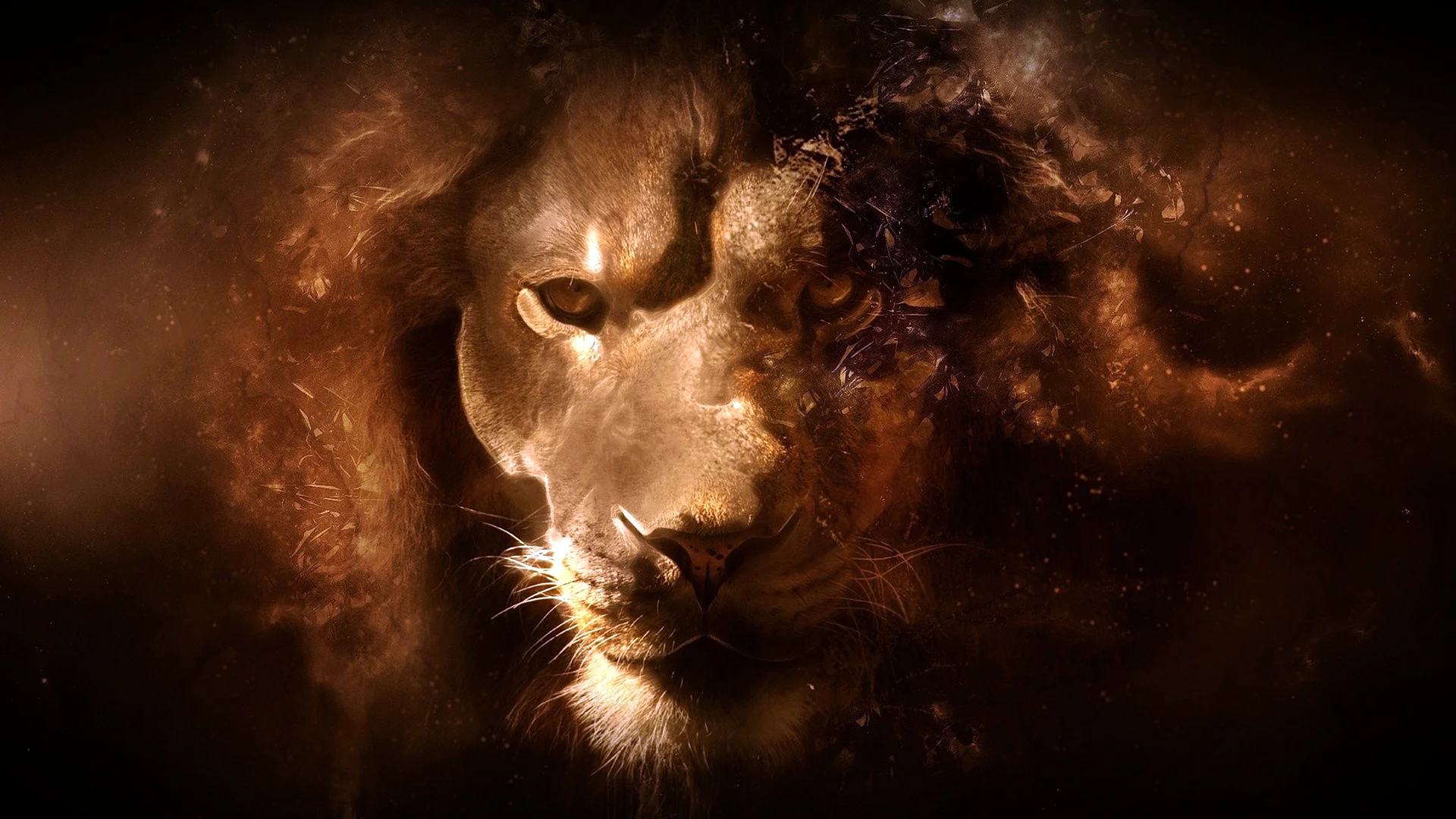 Lion Wallpaper