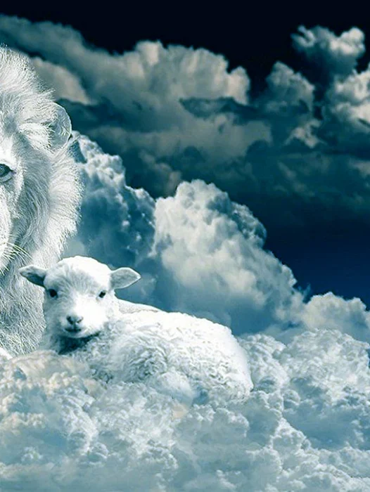 Lion And Lamb Wallpaper