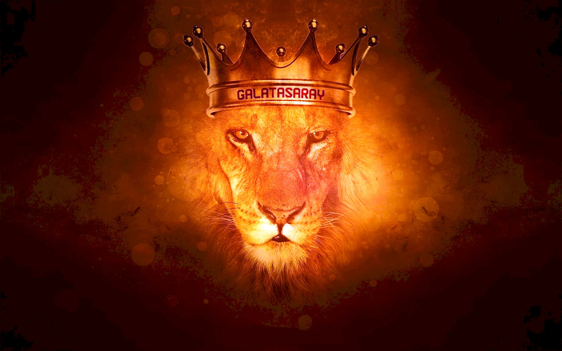 Lion Crown Wallpaper