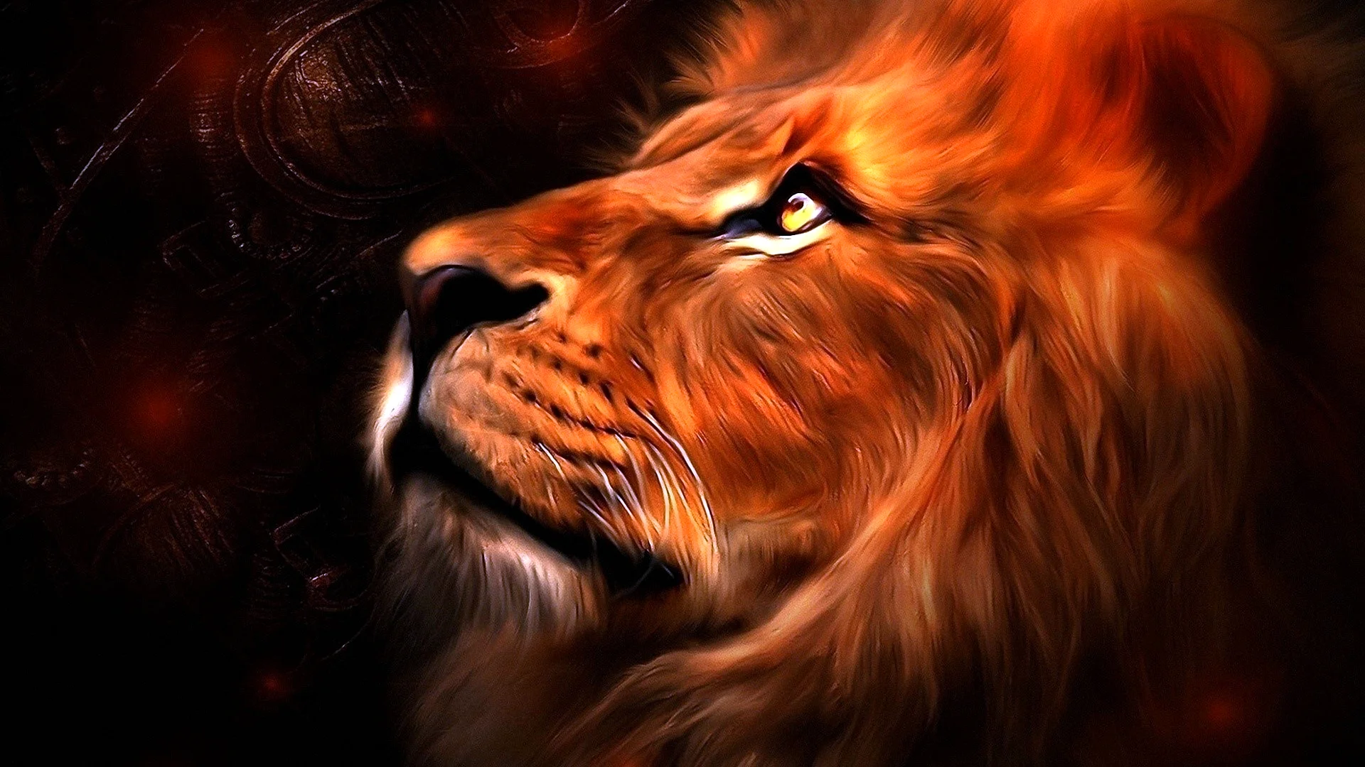 Lion HD Wallpaper