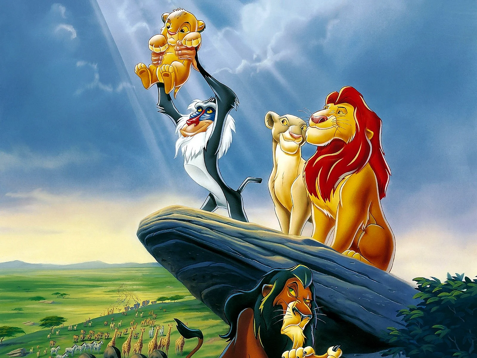 Lion King Simba Wallpaper