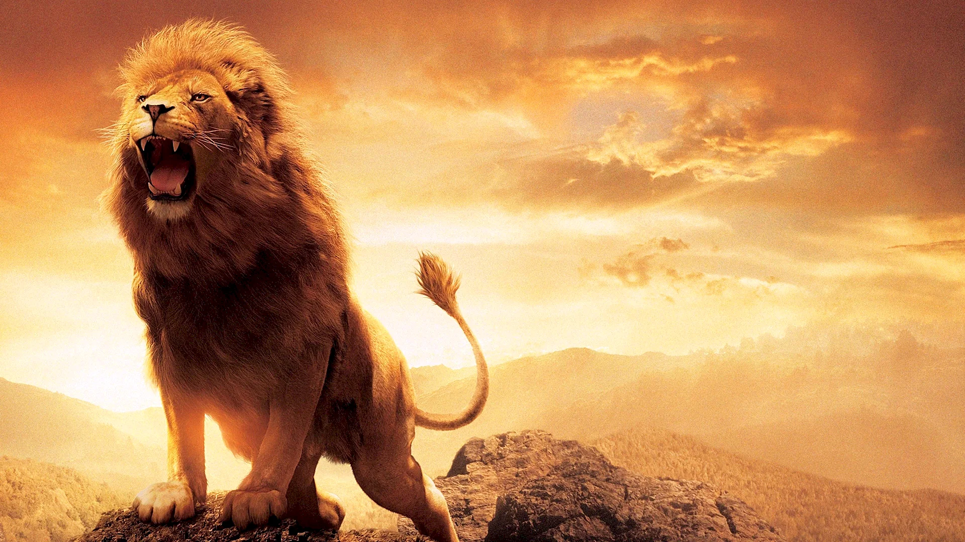 Lion Roar Wallpaper