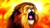Lion Roar Wallpaper