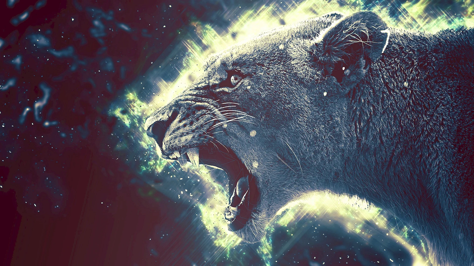 Lion Roar Wallpaper