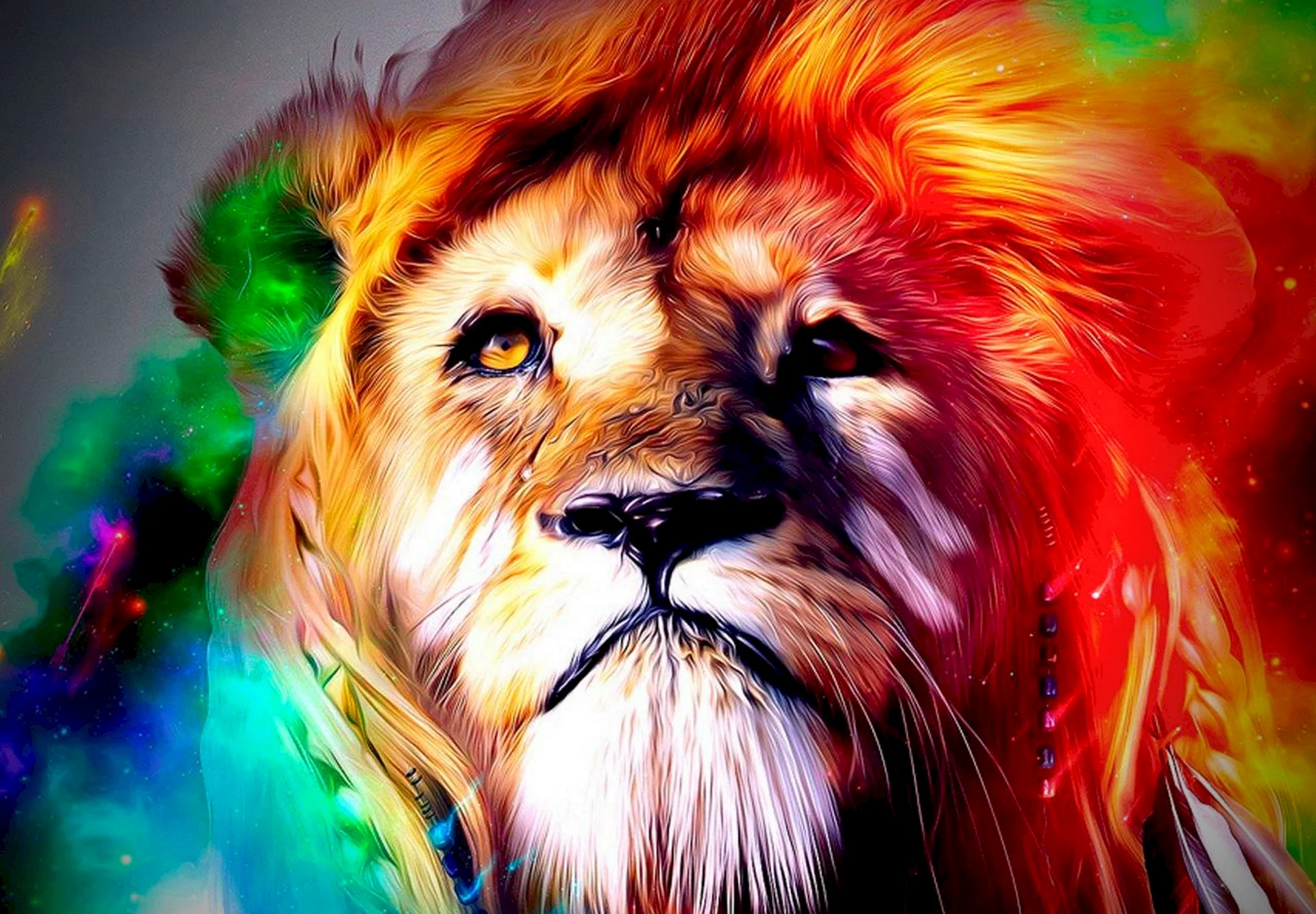 Lion Wallpaper