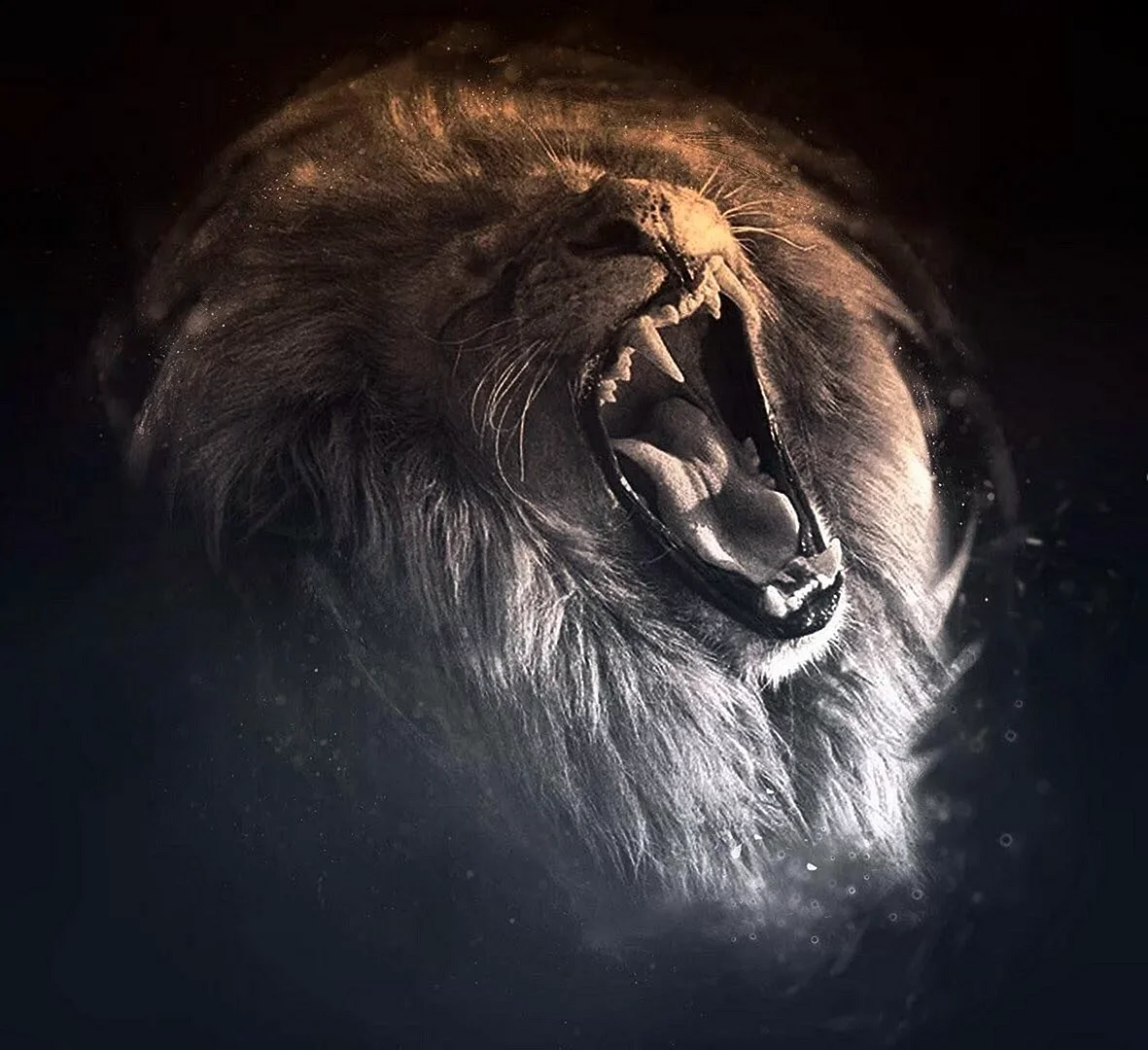 Lion Roar Wallpaper