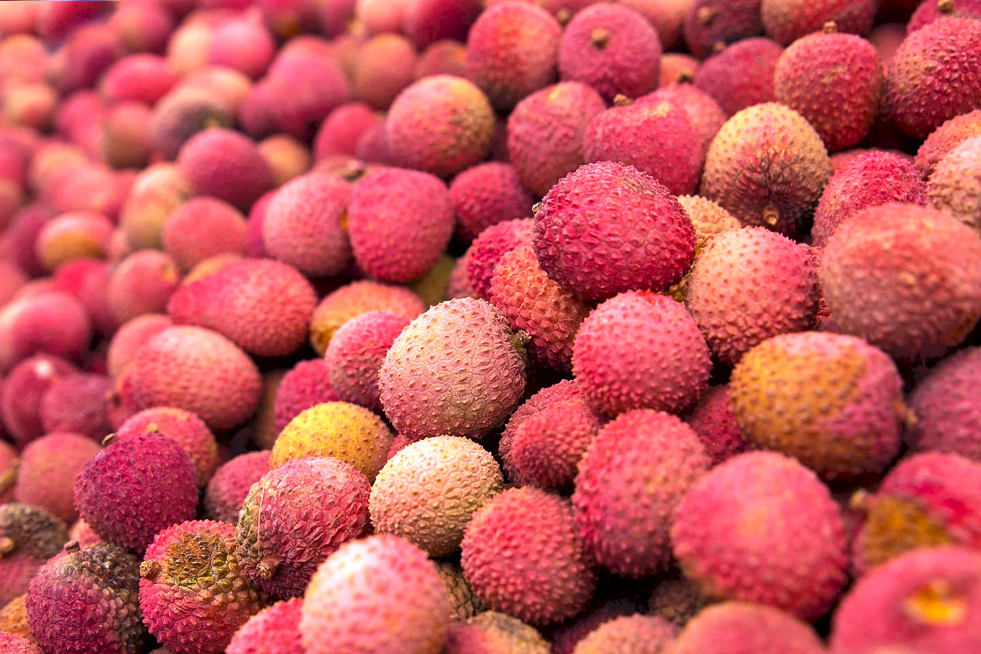Litchi Fruit Wallpaper