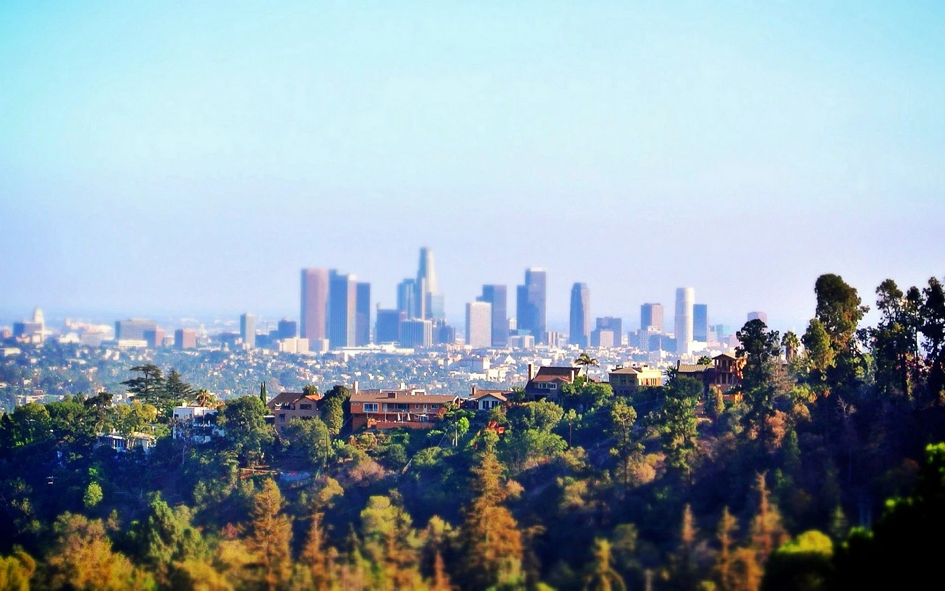 Los Angeles Wallpaper