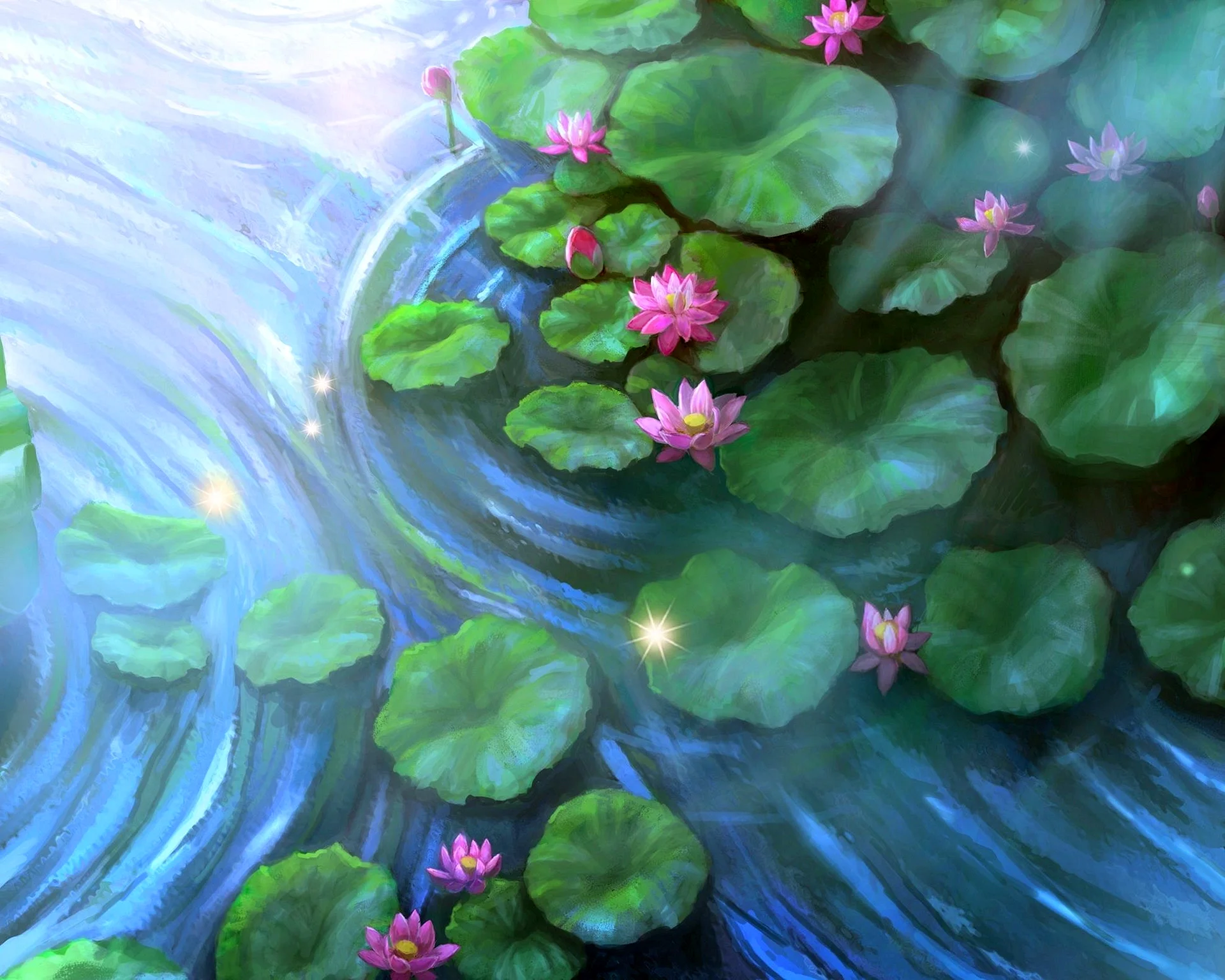 Lotus Flower Pond Wallpaper