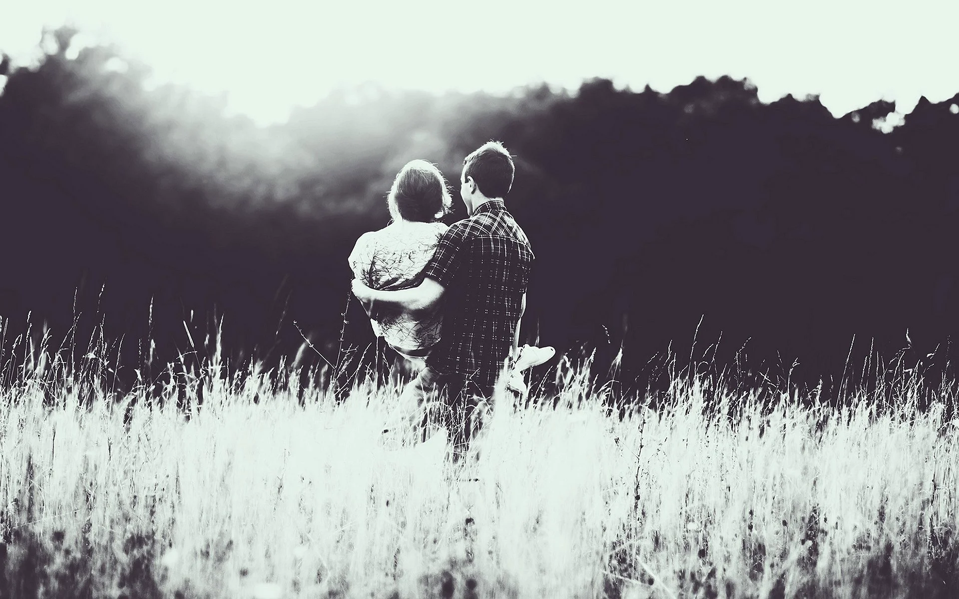 Love Wallpaper