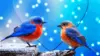 Love Birds Wallpaper